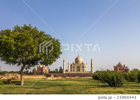Taj Mahal in Agra India 23960443