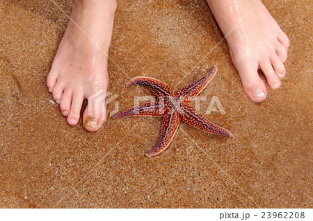 children's feet a beautiful starfish on the beach 23962208