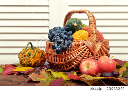 Thanksgiving Day Concept 23963263