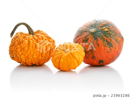 Mini pumpkins 23963286