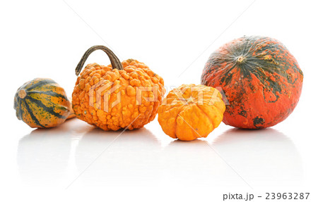 Mini pumpkins 23963287