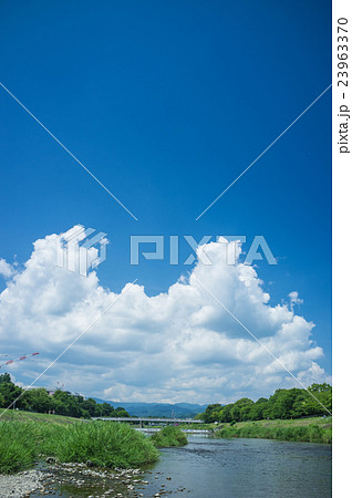 鴨川夏景色 23963370