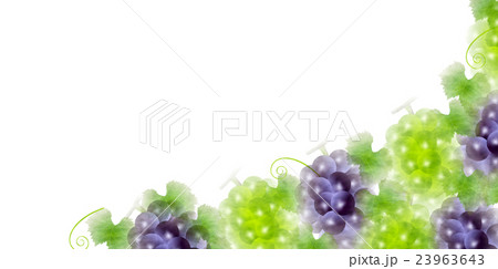 ぶどう 果物 秋 背景 ぶどう 果物 秋 背景 23963643