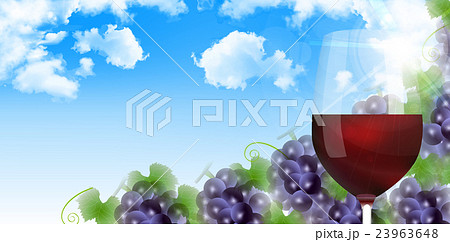 ぶどう ワイン 秋 背景 ぶどう ワイン 秋 背景 23963648