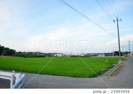 埼玉県滑川町の写真 23963956