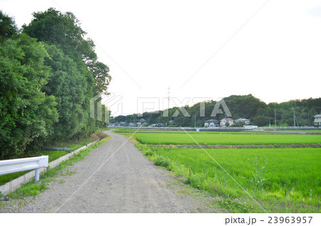 埼玉県滑川町の写真 23963957