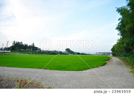 埼玉県滑川町の写真 23963959