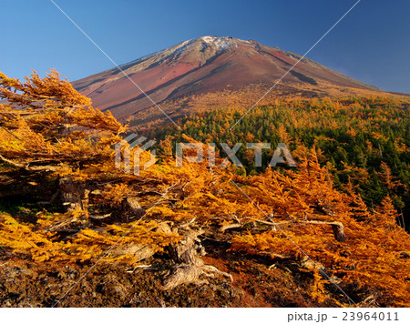 奥庭の秋富士 23964011