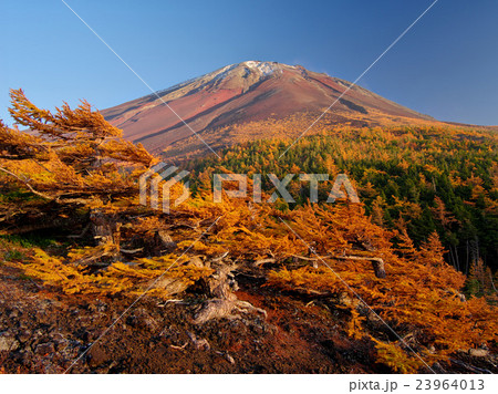 奥庭の秋富士 23964013