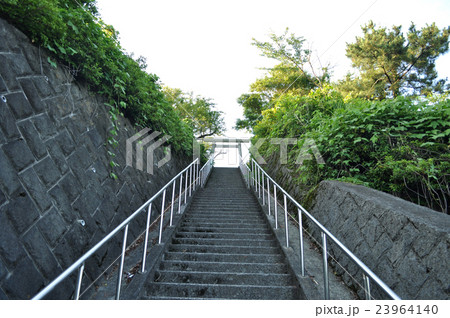 神奈川県ヤビツ峠の写真 神奈川県ヤビツ峠の写真 23964140