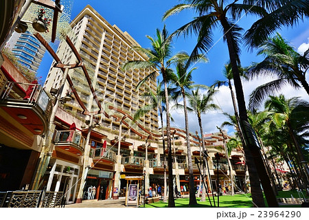 ハワイの休日 23964290