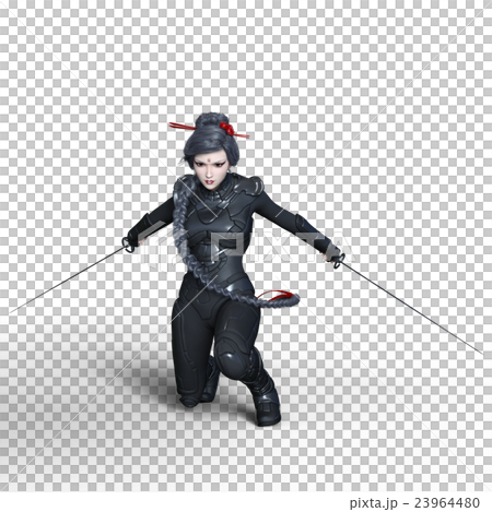 Female ninja Female ninja 23964480