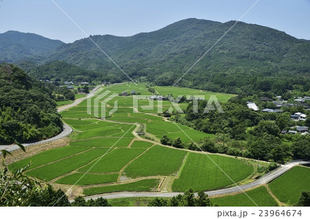 田染荘　夏 23964674