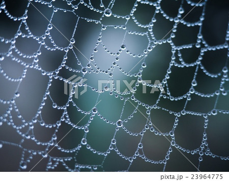 クモの巣ビーズ 23964775