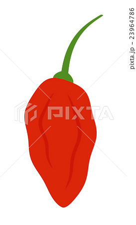 ブートジョロキア 23964786