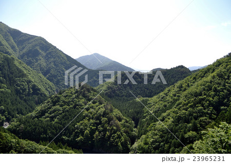 寸又峡温泉夢の吊橋の写真 23965231
