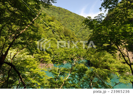 寸又峡温泉夢の吊橋の写真 寸又峡温泉夢の吊橋の写真 23965236