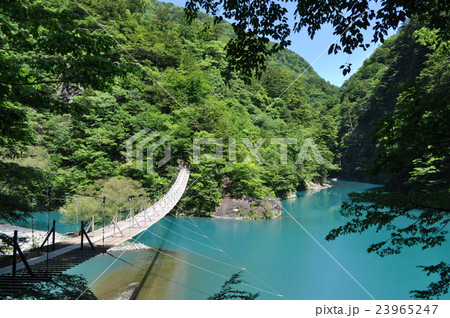 寸又峡温泉夢の吊橋の写真 寸又峡温泉夢の吊橋の写真 23965247
