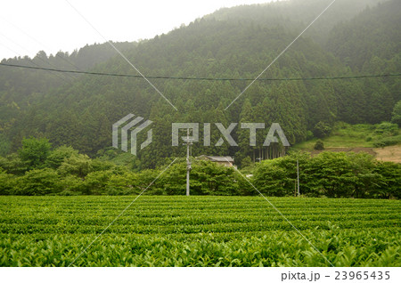 静岡市清沢地区 23965435