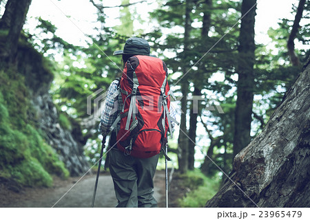富士登山 イメージ 富士登山 イメージ 23965479