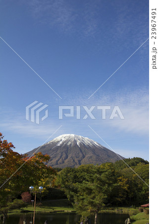 紅葉と羊蹄山 23967491