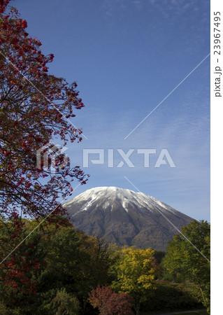紅葉と羊蹄山 紅葉と羊蹄山 23967495