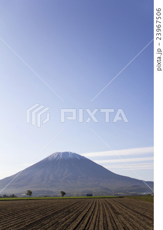 紅葉と羊蹄山 23967506