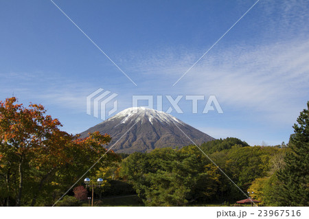 紅葉と羊蹄山 紅葉と羊蹄山 23967516