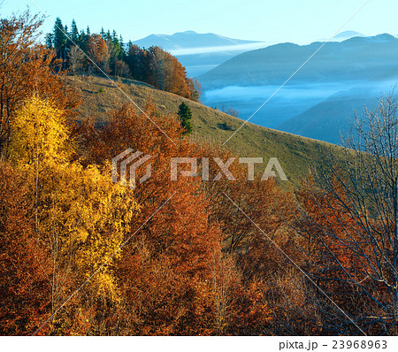 Morning fog in autumn Carpathian. 23968963