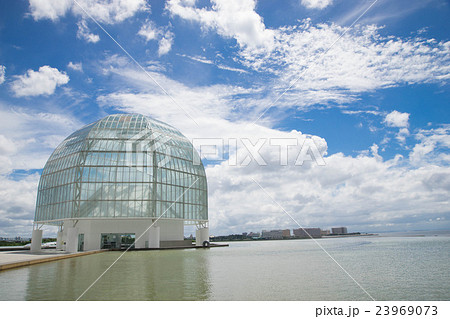 葛西臨海水族園 23969073