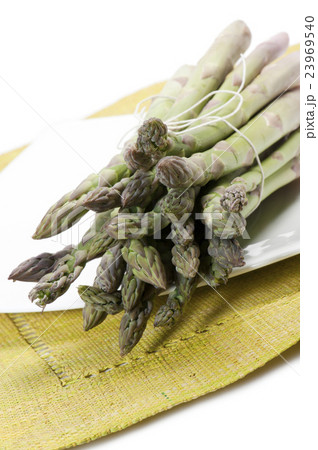 asparagus asparagus 23969540