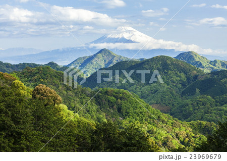 葛城山から見る朝の富士山 23969679