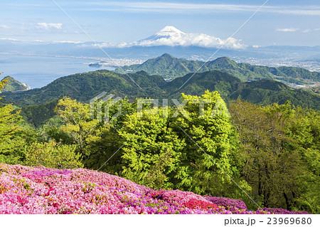 葛城山山頂から見る富士山 23969680