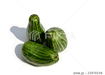 千葉県産 はぐら瓜、はぐらうり 千葉県産 はぐら瓜、はぐらうり 23970248