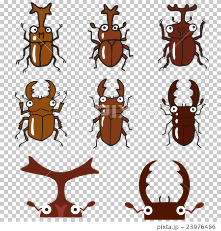 クワガタ・カブトムシ 23976466