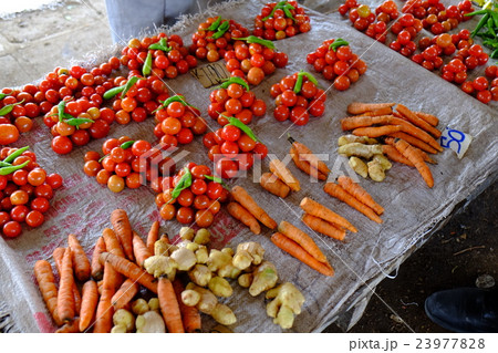 市場の野菜 23977828