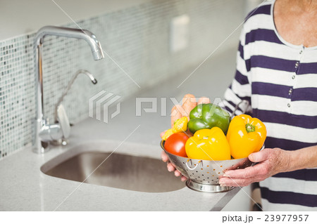 Midsection of senior woman holding colander with vegetables Midsection of senior woman holding colander with vegetables 23977957