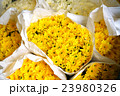 marigold flower 23980326
