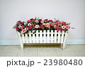 flower in wood box 23980480