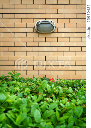 brick wall background 23980482