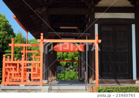 広寿山福聚寺 広寿山福聚寺 23980765