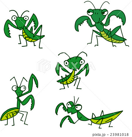 Mantis Stock Illustration