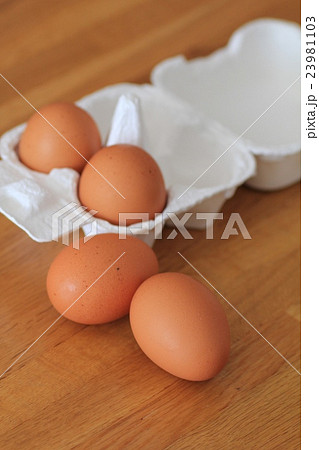 パルプエッグカートンに入っている赤卵 パルプエッグカートンに入っている赤卵 23981103