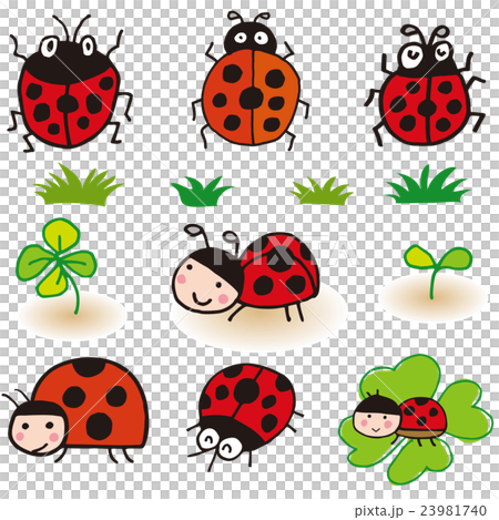 テントウムシのイラスト素材