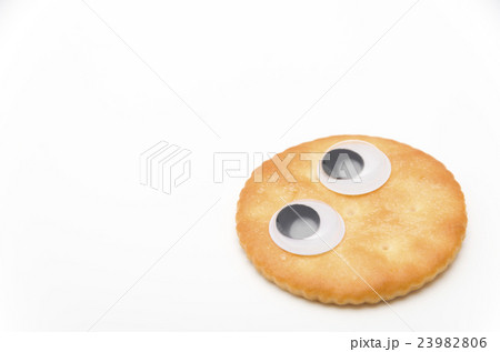 キョロキョロ目玉 ビスケット 23982806