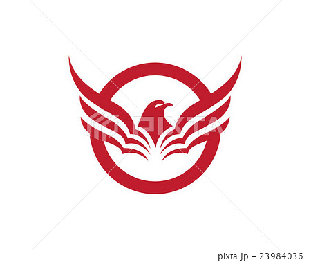 Falcon Logo Template 23984036