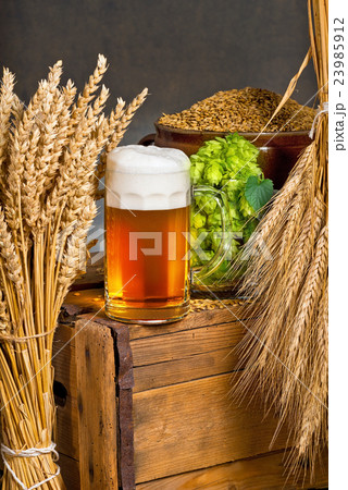 Glass of beer with raw material for beer productio 23985912