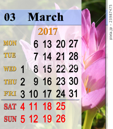 calendar for March 2017 with flowers of colchicum 23987475