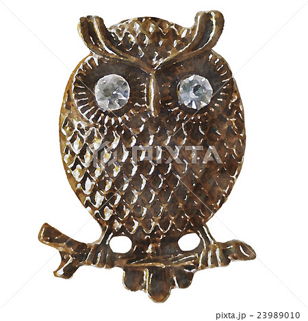 フクロウ owl 水彩画風 挿絵 フクロウ owl 水彩画風 挿絵 23989010