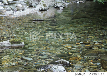 巌立峡の緑・清流・岩肌 23989343